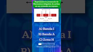 Filamentos de actina anatomía BiólogaElena Biología shorts Músculo [upl. by Ziagos]