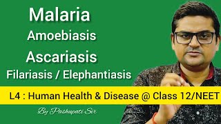 L4 Protozoan and Helminth Diseases  Malaria  Amoebiasis  Ascariasis  Filariasis  Class 12NEET [upl. by Accebber]