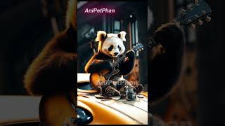 Funny Panda singer short Pandasinger funnypanda [upl. by Zoilla]