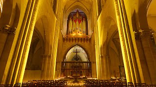 Magdeburger Dom Mayday 2015  Woody  Auferstanden aus Ruinen Nationalhymne ExDDR [upl. by Akenit]