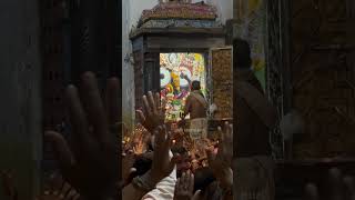 Today Shree Jagannath Sandhya Aarti darshan 🙏🏻✨🥺Jagannath dham puri shorts shortvideo youtube [upl. by Tselec]