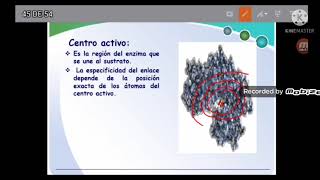 Biomoléculas Aminoácidos Proteínas Tema I 20 Parte III [upl. by Nickerson]