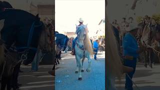 CABALLO BAILADOR Jalisco 🇲🇽 Dancing horse shorts [upl. by Leiva]