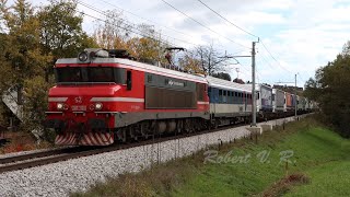 Trains through Šentilj 1 [upl. by Rendrag717]