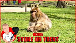 Inside the Monkey Forest 2021  Stoke on Trent  Trentham [upl. by Tannenwald]