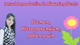 BIOLOGY CHAPTER 2TOPIC STAMENMICROSPORANGIUM and POLLEN GRAIN CBSE CLASS 12th BOARD 2021 [upl. by Leff]