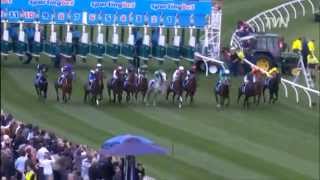 Shamus Award  Cox Plate  Moonee Valley 2013 [upl. by Haiacim]