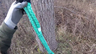 Whoopie Sling Basics  Arborist Rigging [upl. by Bedelia]