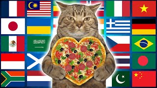 Cat in 70 Languages Meme [upl. by Natalya]