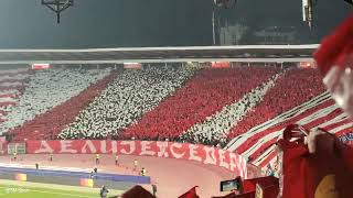 Crvena Zvezda Barcelona  koreografija Delije [upl. by Elades]