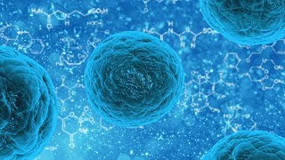 Large Biological Molecules  Part 1  Campbell biology  شرح بالعربي [upl. by Bostow]