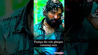 Pushpa Bhau Attitude status pushpa alluarjun bollywood [upl. by Elysia]