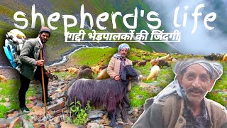 SHEPHERDS LIFE स्वतंत्र जिंदगीINDEPENDENT LIFE of gaddiesPresents by sharad sharmagaddiculture [upl. by Edrick386]