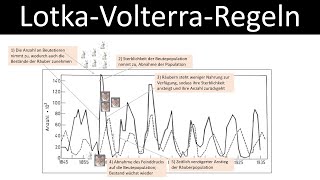 LotkaVolterraRegeln RäuberBeuteBeziehungen  Luchs  Schneehase Biologie ÖkologieOberstufe [upl. by Simaj]