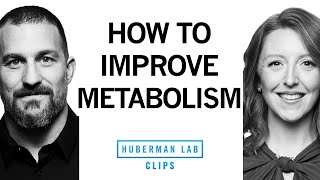 Simple Steps to Improve Your Metabolism  Dr Casey Means amp Dr Andrew Huberman [upl. by Ecnerat436]