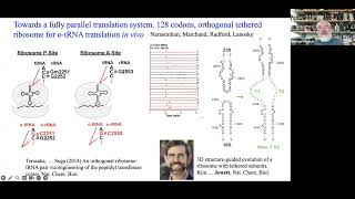 BuildaCell seminar George Church Synthetic genomes amp tRNAs in vitro amp vivo [upl. by Airdnala749]