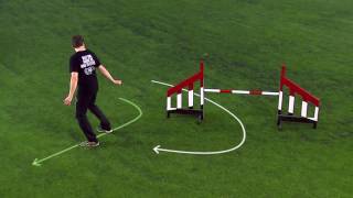 How To Move Your Feet In Dog Agility [upl. by Atires]