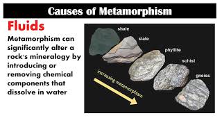 Metamorphism  Second Quarter  Lesson 51  Earth Science [upl. by Ahcire]