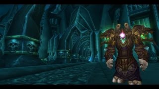 WoW Wrath of the Lich King PvE Raid Gear WoW Transmog Sets [upl. by Neirb]