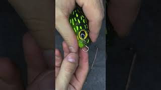 Big lure setup fishingvideo fishing fishingtips [upl. by Niko735]