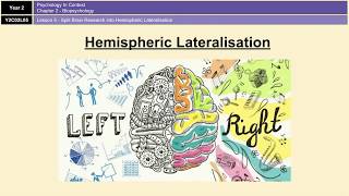 ALevel Psychology AQA Biopsychology  Hemispheric Lateralisation and Split Brain Research [upl. by Meit]