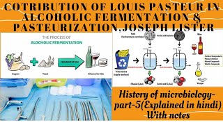 Contribution of Louis Pasteur in Alcoholic fermentation amp Pasteurization Joseph listerin Hindi [upl. by Gothart413]