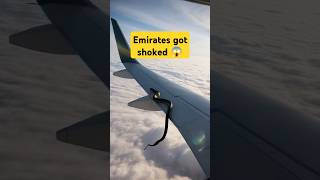 Emirates witnessed unreal event 😱  python attack  python snake shorts [upl. by Carrington]