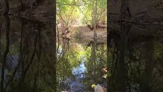 Big Tujunga Creek nature [upl. by Lachus817]