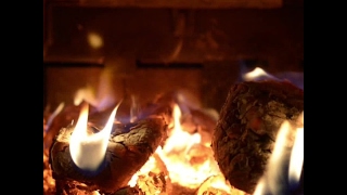 Woodburning stoves harm us and the environment [upl. by Ydnagrub]