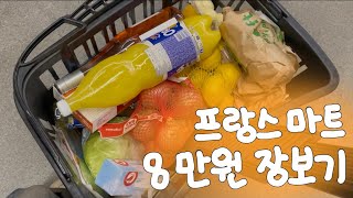 프랑스 마트 auchan에서 8만원어치 장보기 브이로그 [upl. by Enileve]