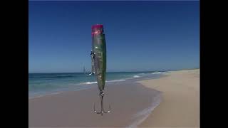 Beach fishing for tailor Fishing Western Australia Series 2 Ep 5 Part 1 [upl. by Dihsar]