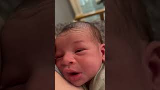 Baby sneezing cutest thing ever… short cutebaby family love tiktok [upl. by Faria623]