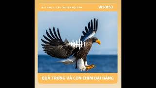 WITDAILY  Câu chuyện nội tâm số 150 QUẢ TRỨNG VÀ CON CHIM ĐẠI BÀNG [upl. by Enovad]