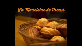 La Madeleine de Proust lecture analyse [upl. by Barney]