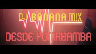 Dj Banana MIX  MEGAMIX Techno Reggae 1 [upl. by Noislla24]