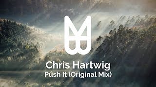 Chris Hartwig  Push It Original Mix [upl. by Eiclud688]