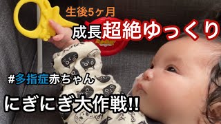 【4pマイナス症候群】ピナちゃんのにぎにぎ大作戦‼︎【多指症赤ちゃん】 [upl. by Ogilvie461]