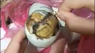 Cracking Duck Egg  what a surprise there is BALUT [upl. by Sihtnyc]