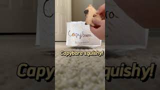 Capybara blind bags blind box capybarablindbagcraft [upl. by Xenophon]