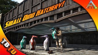 SMALL DINO HATCHERY MASS KAIRUKU HATCHING AND MUTATIONS Ark Survival Evolved Zoo [upl. by Aitnwahs]