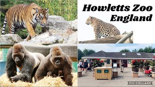 Visit Howletts Wild Animal Park  Howletts Wild Animal Park Canterbury Kent England  Day out [upl. by Nikolai]