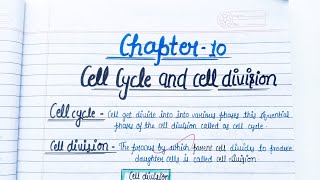 Cell Cycle amp Division Demystified Class 11 Biology Made Easy [upl. by Idoux]