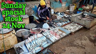 24nov stock fishmarket fishfood fishbazar viralvideo shorts tranding fishing fishcooking [upl. by Nahaj593]