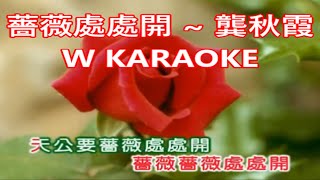 薔薇處處開  龔秋霞 W KARAOKE [upl. by Say]