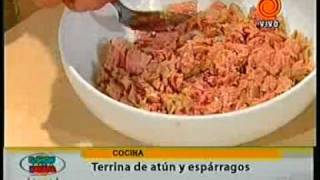 terrina de atun pt2 201111093gp [upl. by Spector]