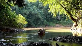 Sarawak Iban Tribe Adventure [upl. by Nnaeiluj674]