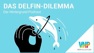 Bonusfolge mit Tom und Bill Kaulitz  Das DelfinDilemma [upl. by Japheth]