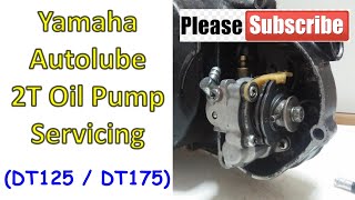 Yamaha Autolube 2T Oil Pump Servicing [upl. by Yrrok]