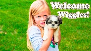 Welcome to TheEngineeringFamily Wiggles a funny Puppy Surprise [upl. by Nosyerg]