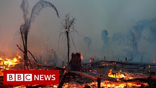 Climate change IPCC report is code red for humanity UN scientists say  BBC News [upl. by Eceertal]